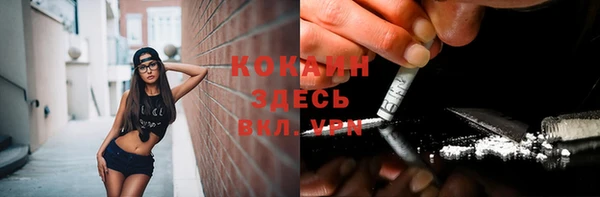 соль ск Мегион