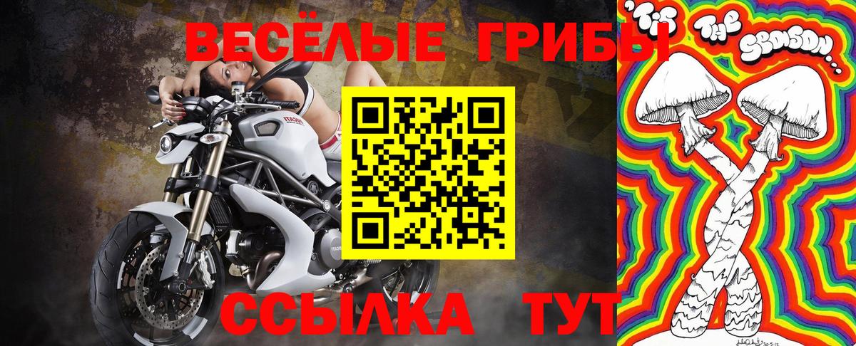 Псилоцибиновые грибы мухоморы  Вход с VPN  Тихвин  где можно купить   Псилоцибиновые грибы Cubensis 